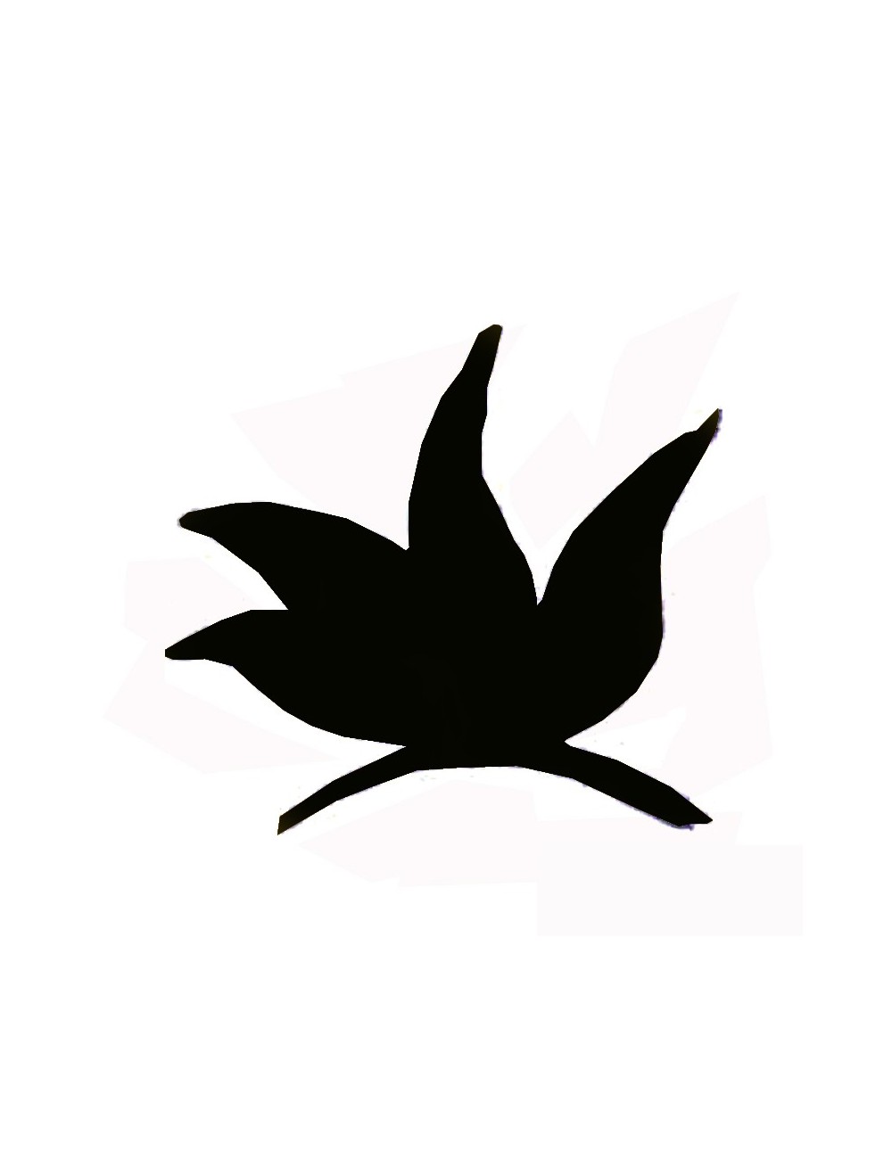 COLORANT POUDRE NOIR P607