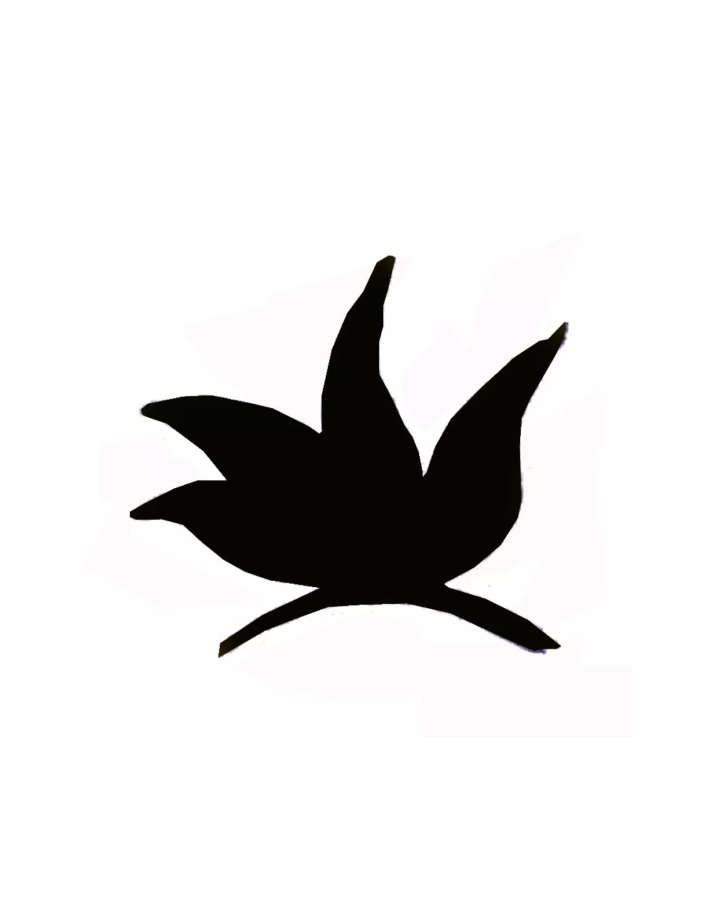COLORANT POUDRE NOIR P607