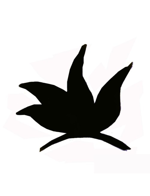 COLORANT POUDRE NOIR P607