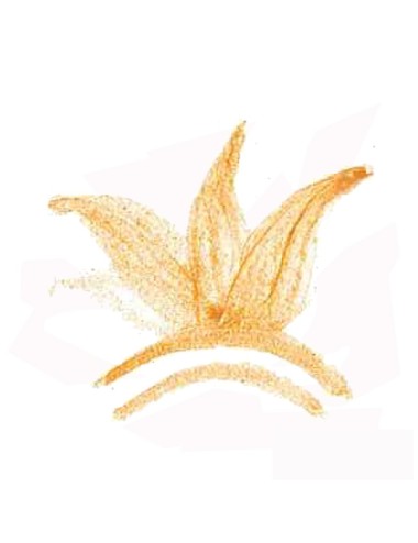 COLORANT POUDRE  OCRE ROSE P62