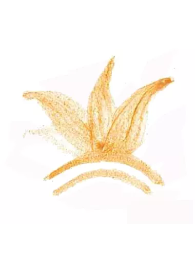 COLORANT POUDRE  OCRE ROSE P62