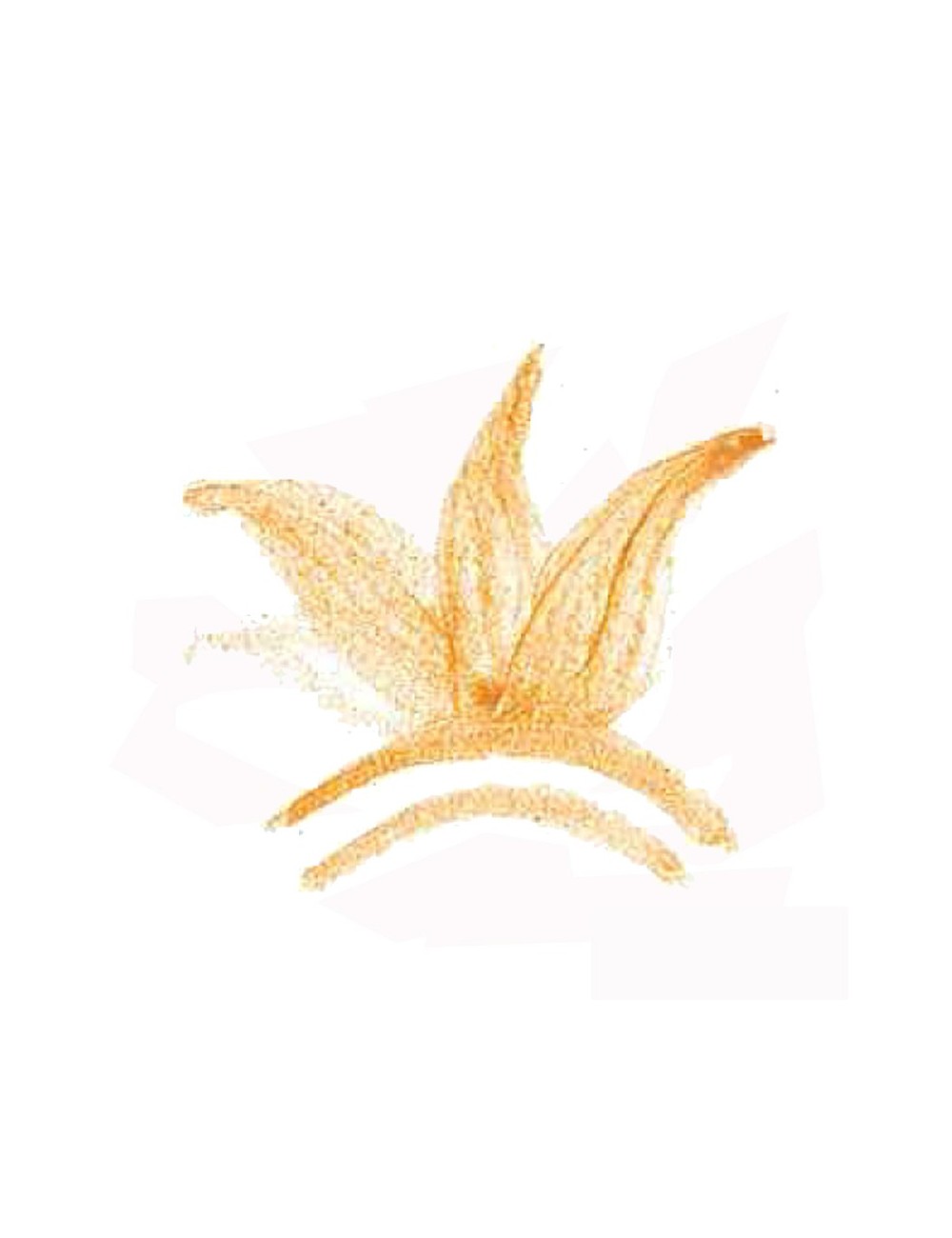 COLORANT POUDRE  OCRE ROSE P62