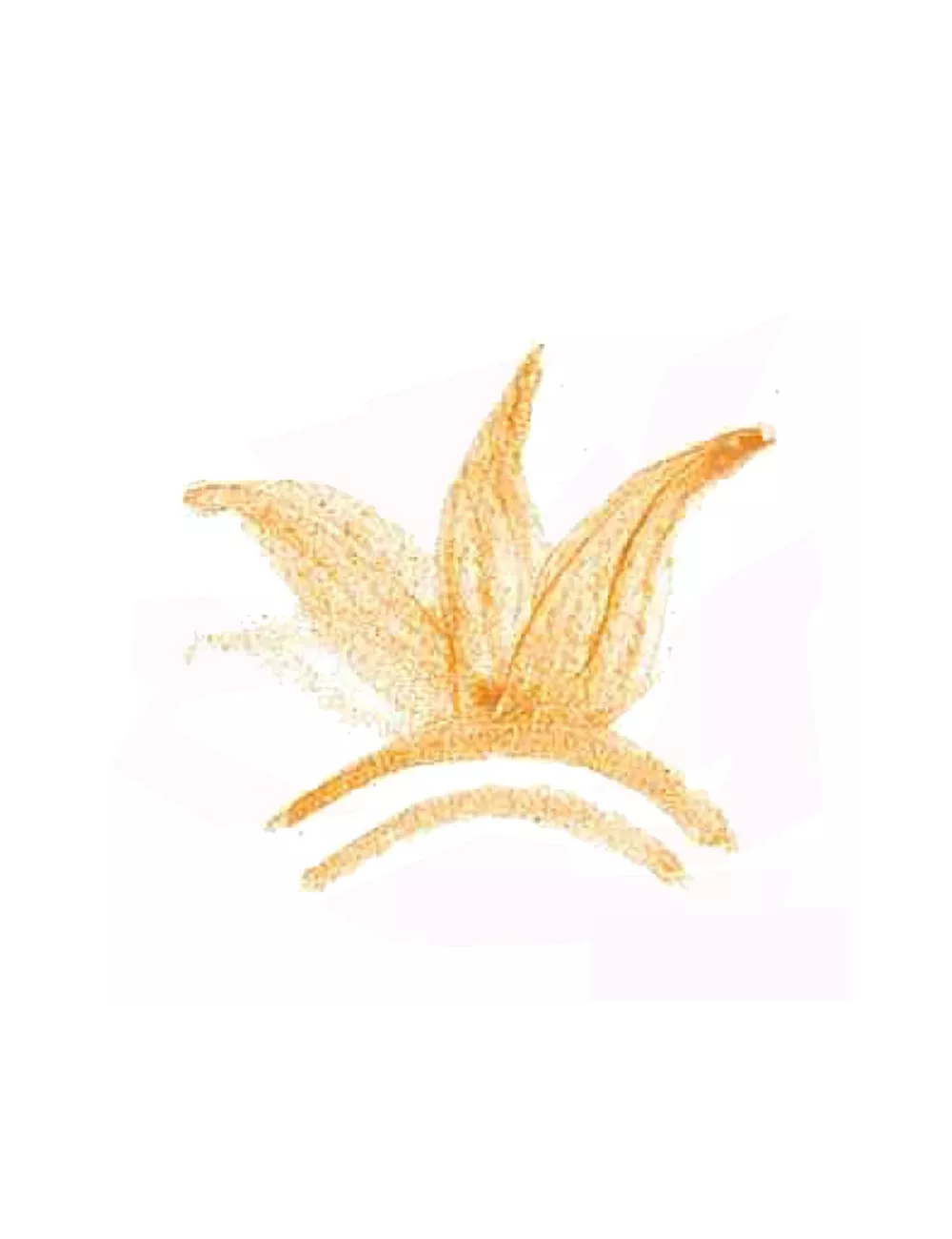 COLORANT POUDRE  OCRE ROSE P62