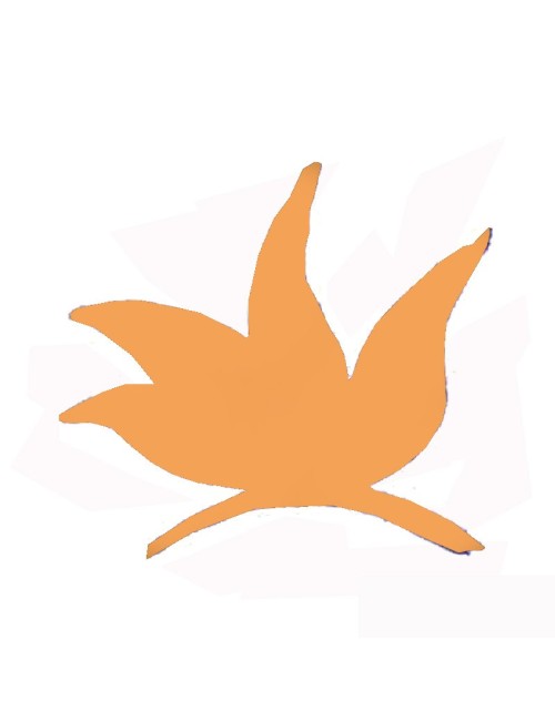 COLORANT POUDRE ORANGE P190