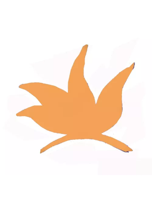 COLORANT POUDRE ORANGE P190