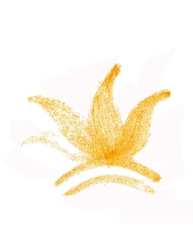 COLORANT POUDRE ORANGE P124