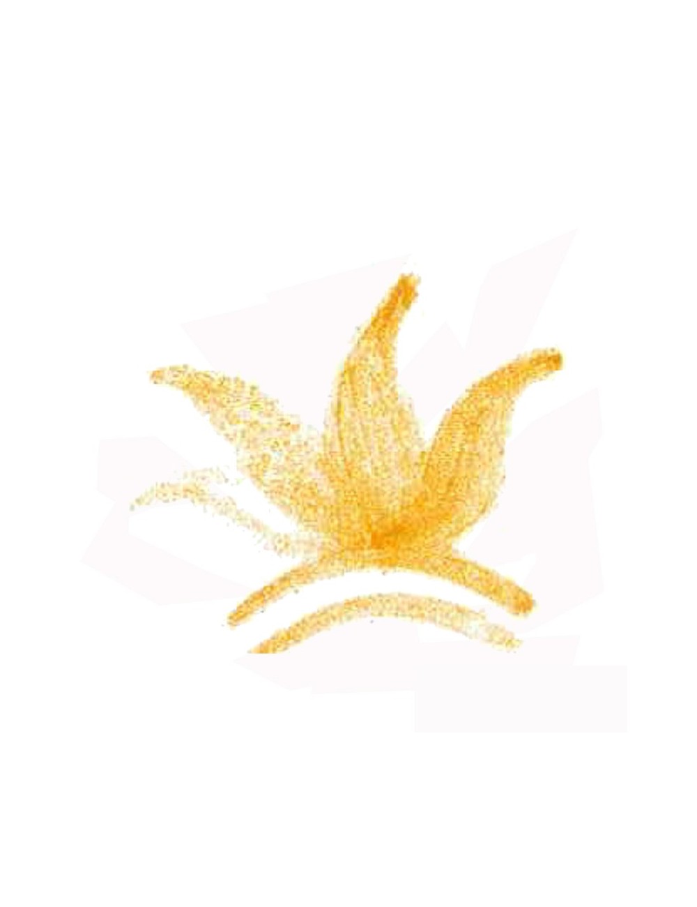 COLORANT POUDRE ORANGE P124