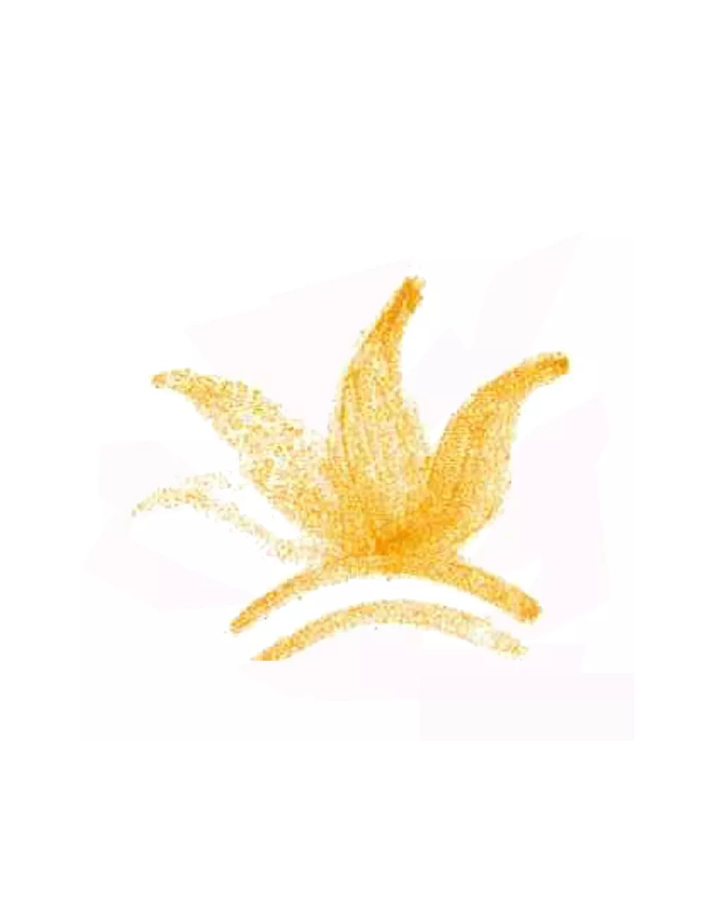 COLORANT POUDRE ORANGE P124