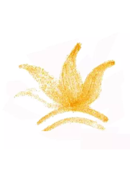 COLORANT POUDRE ORANGE P124
