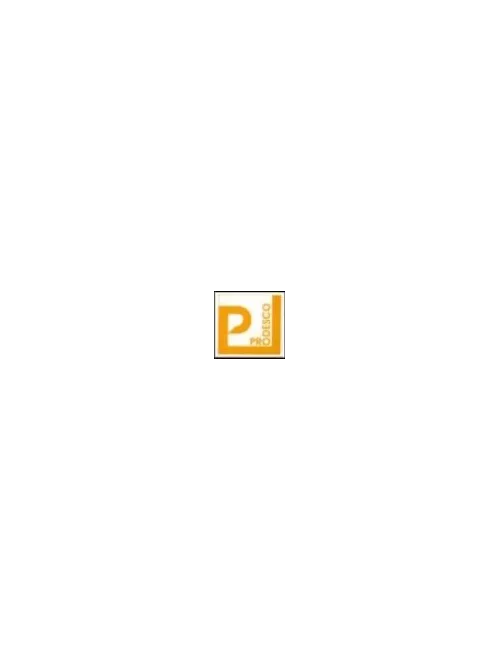 COLORANT POUDRE ORANGE CURRY P130