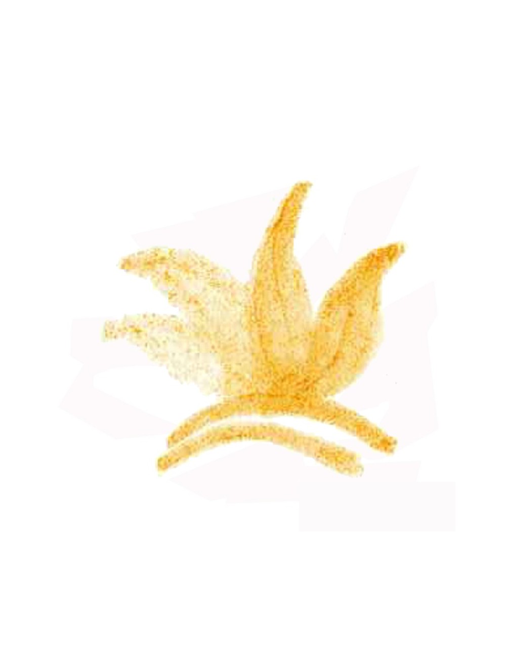 COLORANT POUDRE ORANGE P43