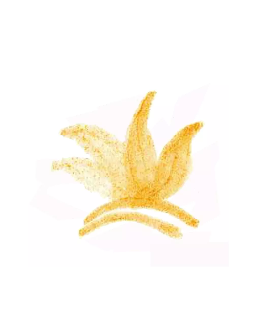 COLORANT POUDRE ORANGE P43 JUSQU'A FIN DE STOCK