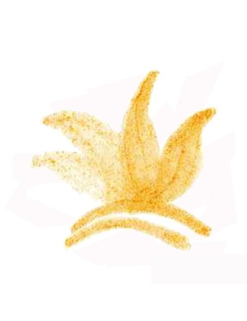 COLORANT POUDRE ORANGE P43