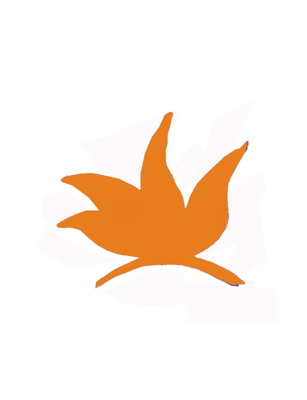 COLORANT POUDRE ROUGE DE FER P311