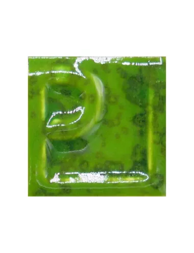 ÉMAIL FAÏENCE LIQUIDE OPAQUE À EFFET SS PLB MOUCHETÉ KIWI 250G EESP35