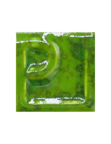 ÉMAIL FAÏENCE LIQUIDE OPAQUE À EFF. SS PLB MOUCHETÉ KIWI 1KG EESP35LL