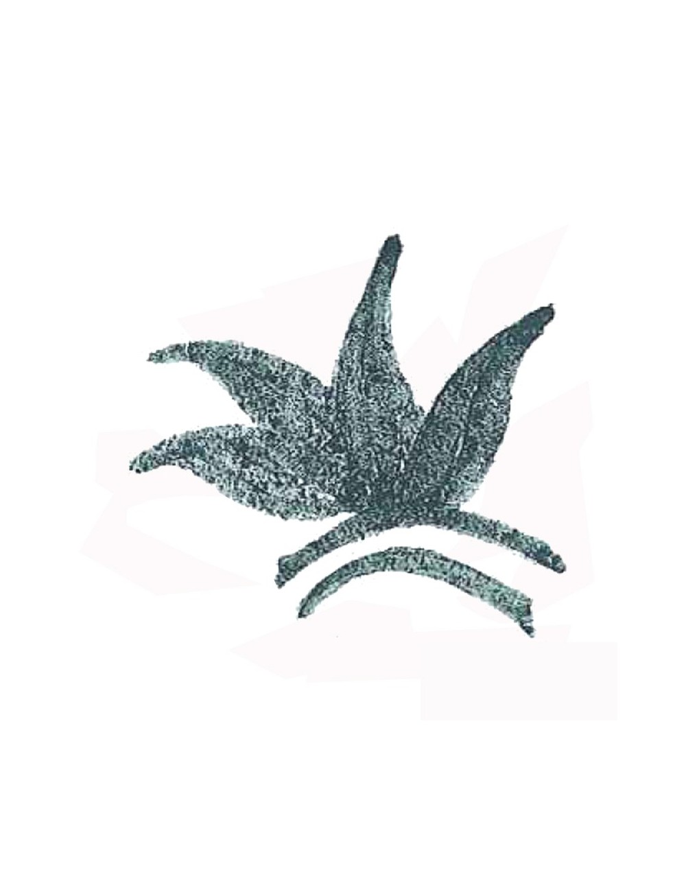 COLORANT POUDRE VERT P57