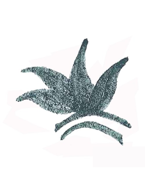 COLORANT POUDRE VERT P57