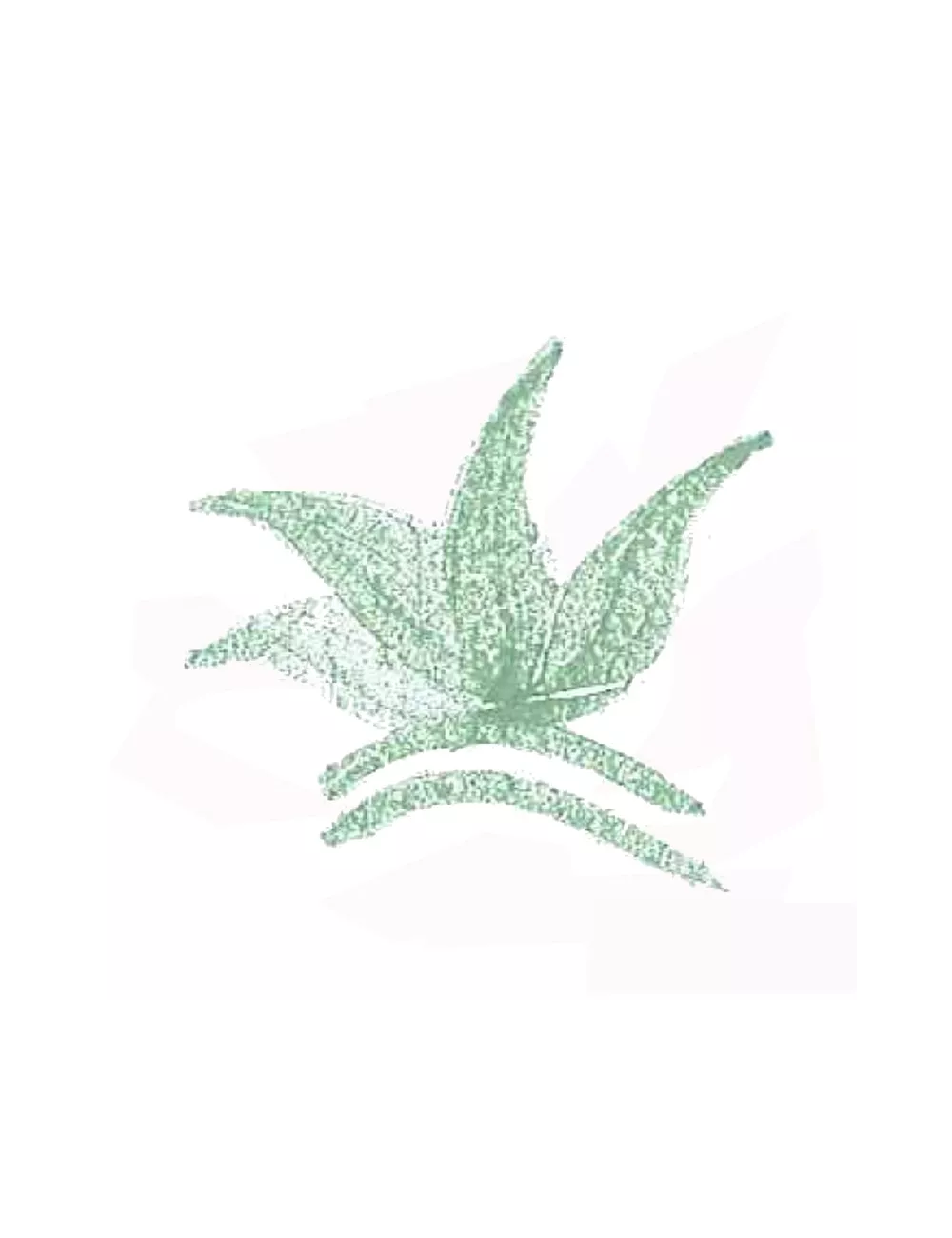 COLORANT POUDRE VERT OCEAN P32