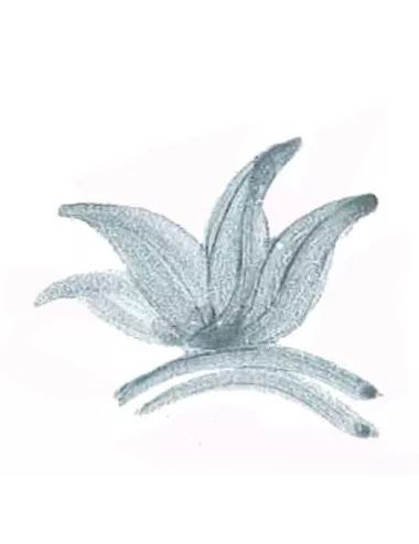 COLORANT POUDRE GRIS P35