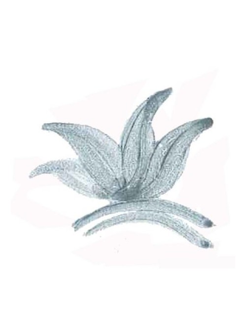 COLORANT POUDRE VERT DE GRIS P35