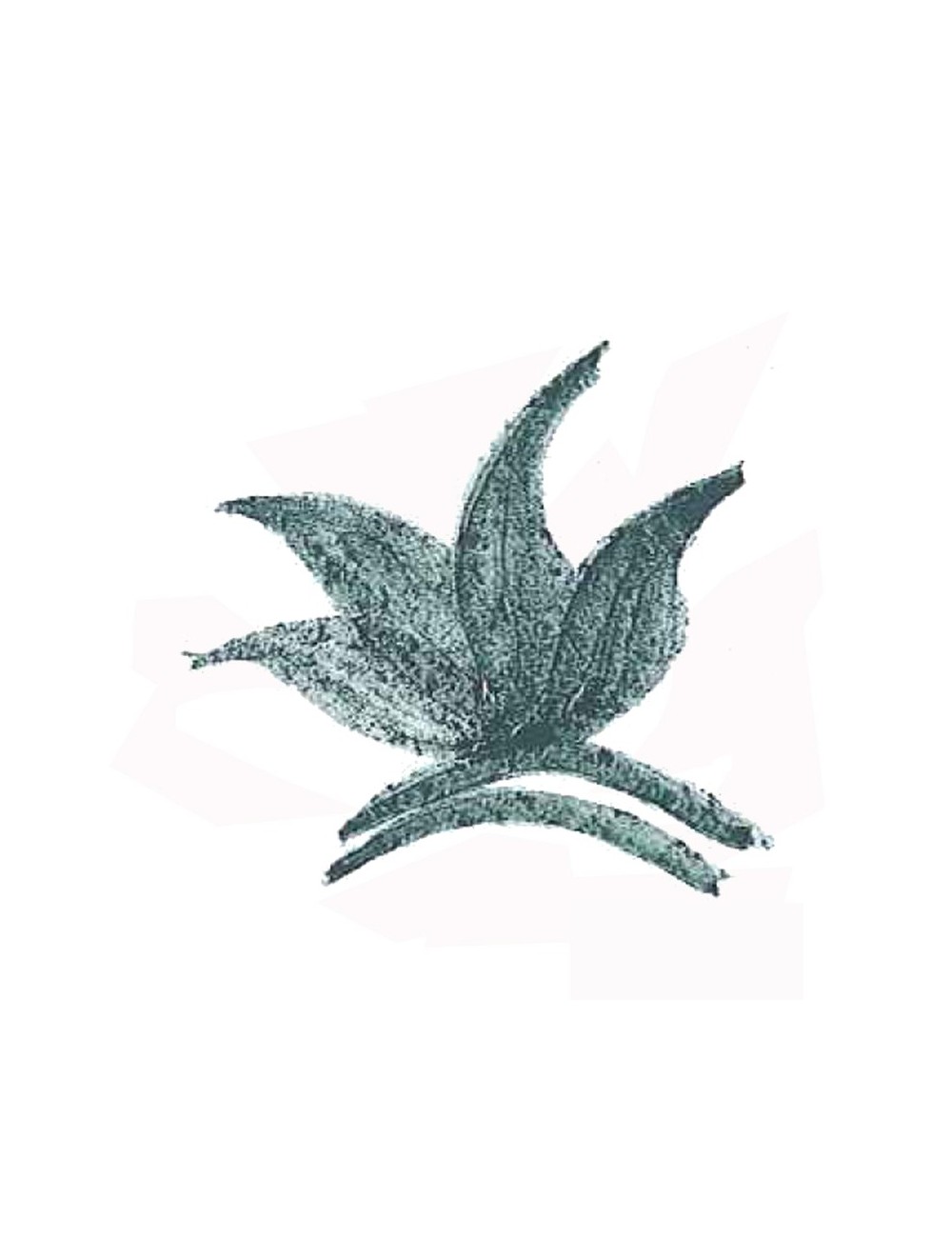 COLORANT POUDRE VERT FONCÉ MASSE P24