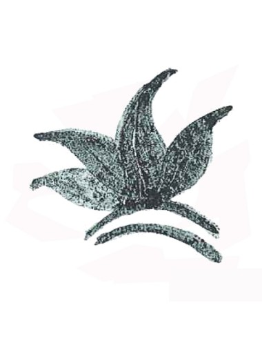 COLORANT POUDRE VERT DE GRIS FONCÉ P29