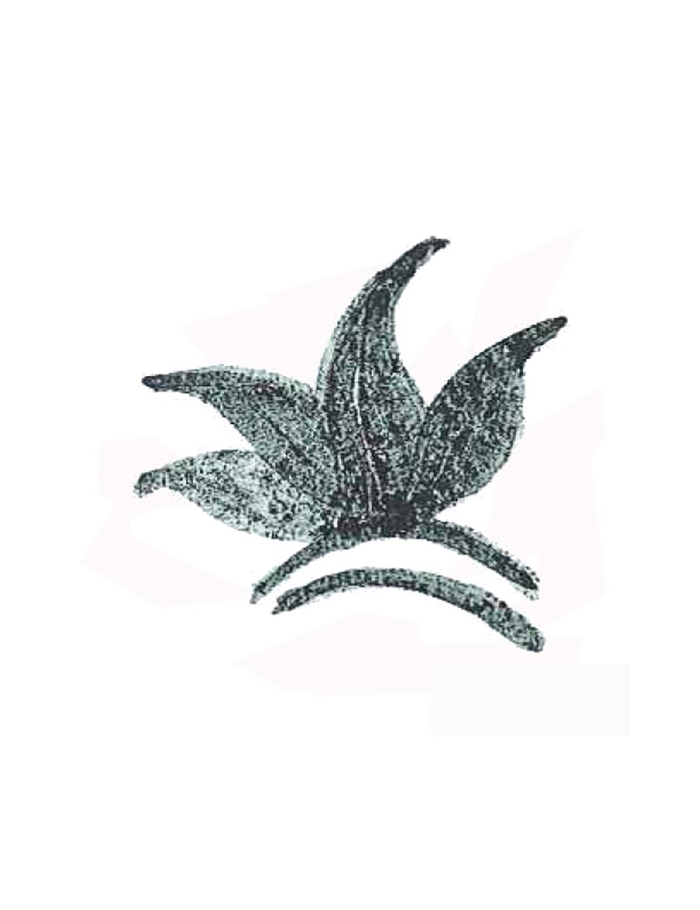 COLORANT POUDRE VERT DE GRIS FONCÉ P29