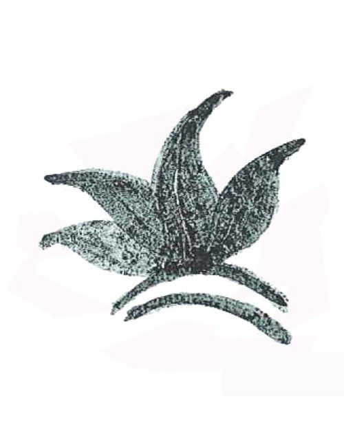 COLORANT POUDRE VERT DE GRIS FONCÉ P29