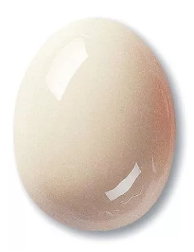 ÉMAIL FAÏENCE TRANSP. SS PLB INCOLORE CORRECTEUR DILATATION PR14 FR11