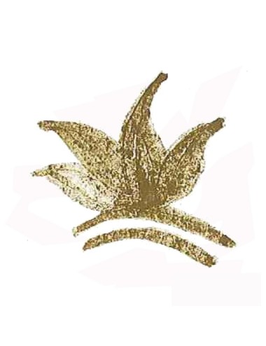 COLORANT POUDRE VERT OLIVE P47