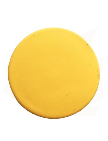 ENGOBE FAÏENCE LIQUIDE SANS PLOMB JAUNE CITRON 300GR EGM56/003