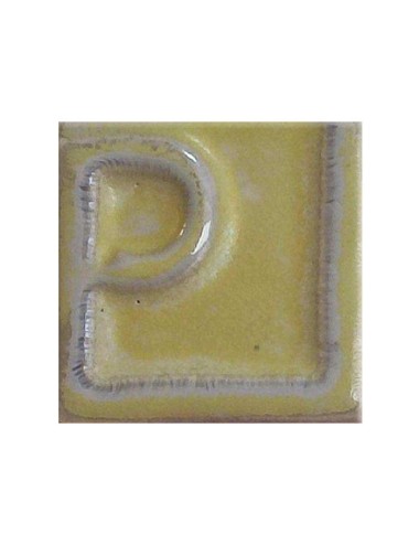 ÉMAIL FAÏENCE LIQUIDE OPAQUE À EFFET BEIGE 250GR PSE63