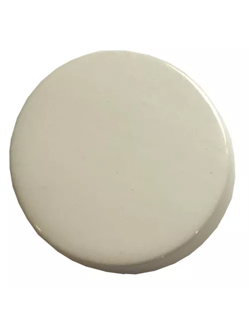 ÉMAIL FAÏENCE LIQUIDE TRANSP. SS PLB BRILL. INCOL. 300GR SOL01/021L