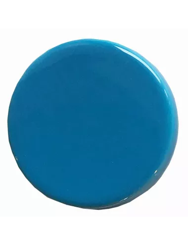 ÉMAIL FAÏENCE LIQUIDE TRANSP. SS PLB BRILL.  BLEU CÉLESTE 300G