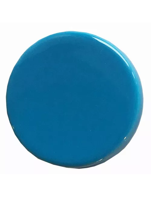 ÉMAIL FAÏENCE LIQUIDE TRANSP. SS PLB BRILL.  BLEU CÉLESTE 300G