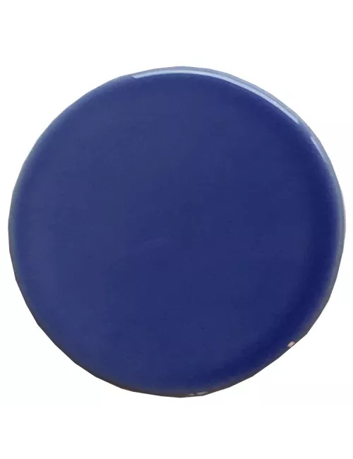 ÉMAIL FAÏENCE LIQUIDE TRANSP. SS PLB BRILL. PERVENCHE 300GR SOL03/106