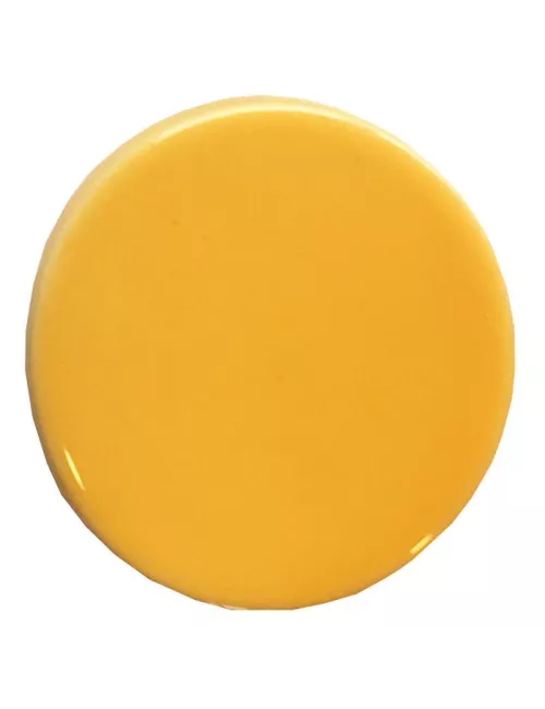 ÉMAIL FAÏENCE LIQUIDE TRANSP. SS PLB BRILL. MIEL 300GR SOL04/101