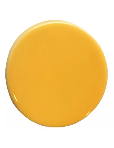 ÉMAIL FAÏENCE LIQUIDE TRANSP. SS PLB BRILL. MIEL 1KG SOL04/101LL