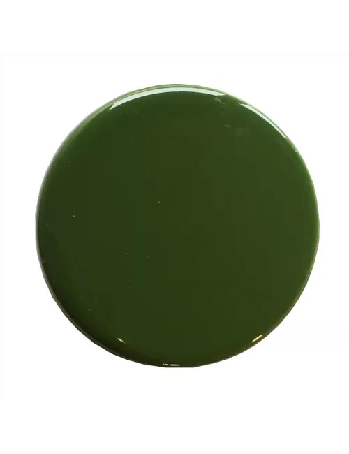ÉMAIL FAÏENCE LIQUIDE TRANSP. SS PLB BRILL.VERT DE CHROME 1KG