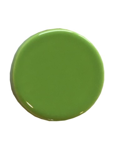ÉMAIL FAÏENCE LIQUIDE TRANSP. SS PLB BRILL. CITRON VERT 300GR SOL05/1