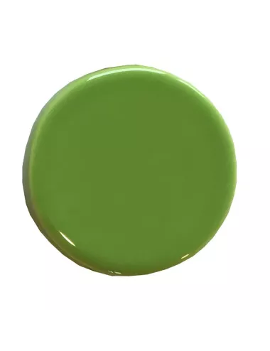 ÉMAIL FAÏENCE LIQUIDE TRANSP. SS PLB BRILL. CITRON VERT 300GR SOL05/1