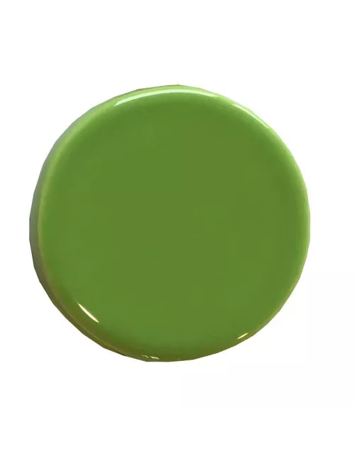 ÉMAIL FAÏENCE LIQUIDE TRANSP. SS PLB BRILL. CITRON VERT 300GR SOL05/1