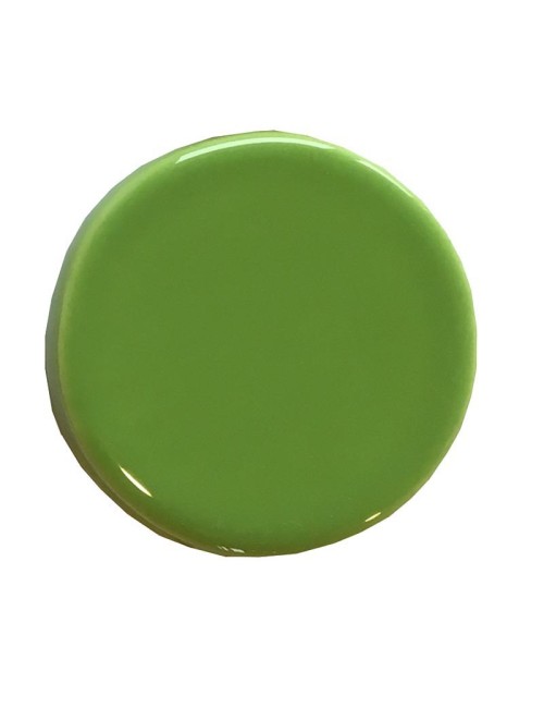 ÉMAIL FAÏENCE LIQUIDE TRANSP. SS PLB BRILL. CITRON VERT 1KG SOL05/103