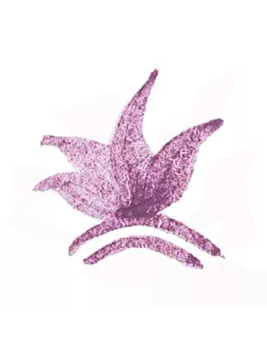 COLORANT POUDRE VIOLET P137
