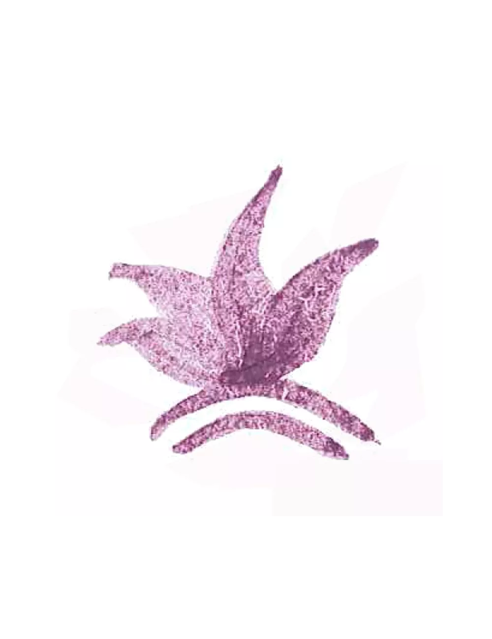 COLORANT POUDRE VIOLET P137