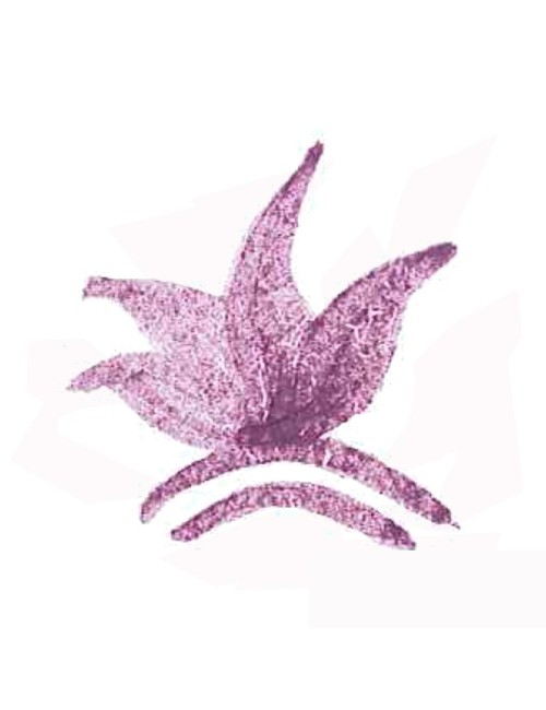 COLORANT POUDRE VIOLET P137