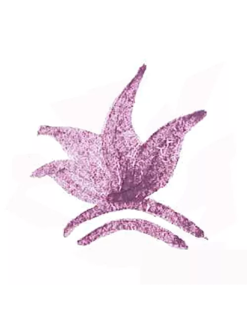 COLORANT POUDRE VIOLET P137
