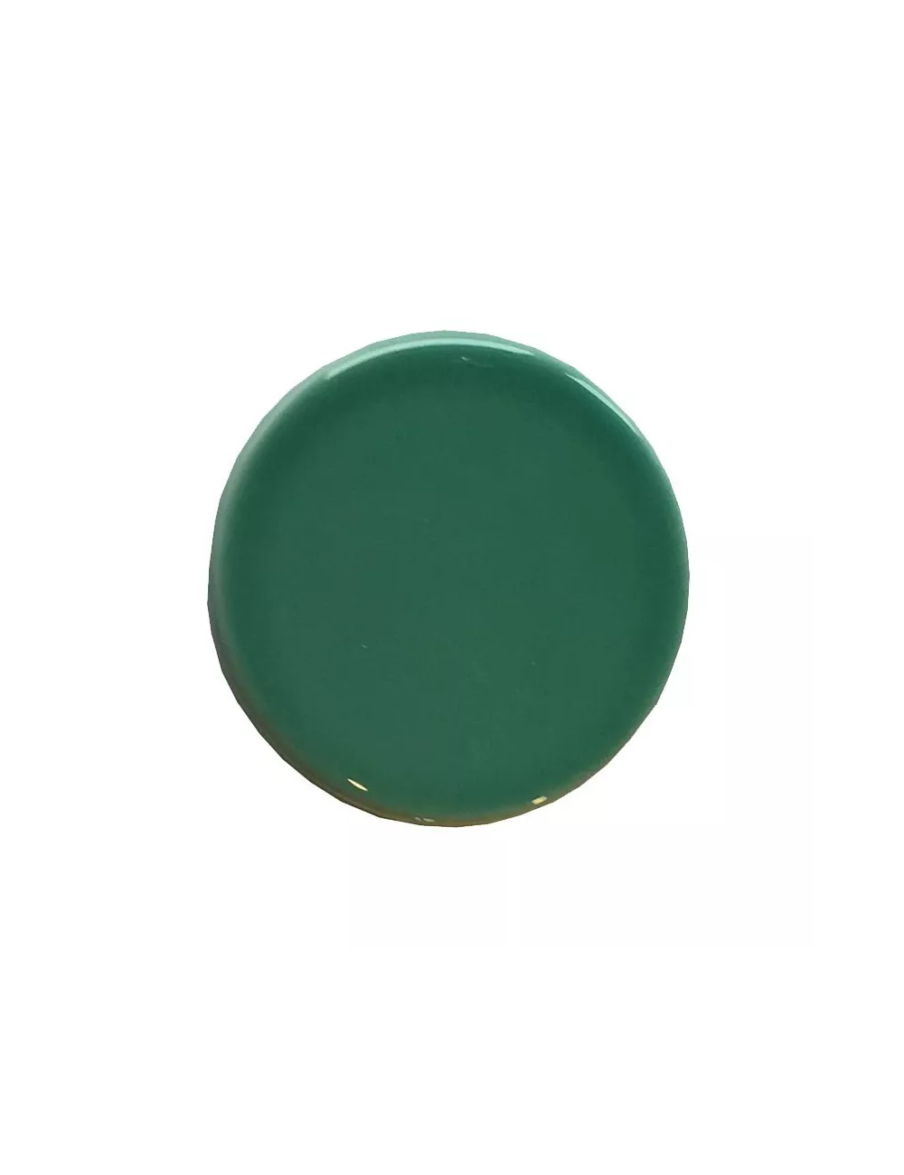 ÉMAIL FAÏENCE LQD TRANSP SS PLB BRIL. VERT FORÊT CLAIR 300G SOL05/109