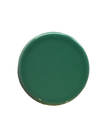 ÉMAIL FAÏENCE LIQUIDE TRANSP SS PLB BRIL. VERT FORÊT CLAIR 1KG SOL05/